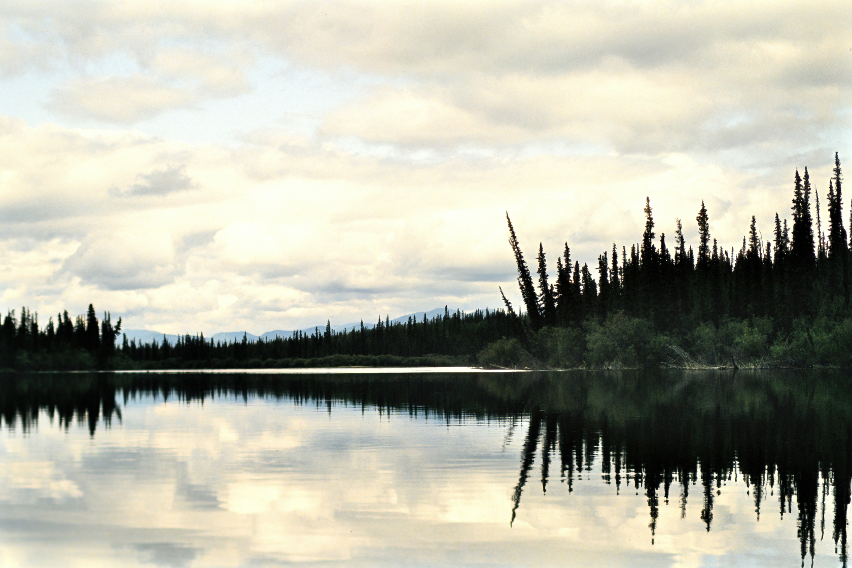 Kanu auf dem Yukon