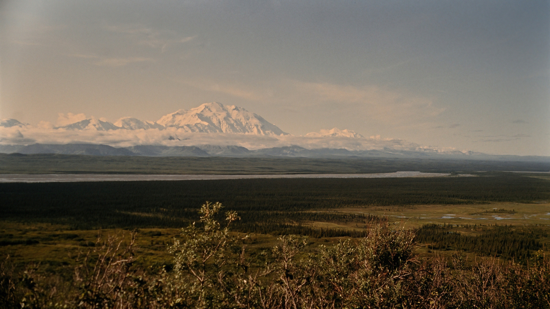 Denali