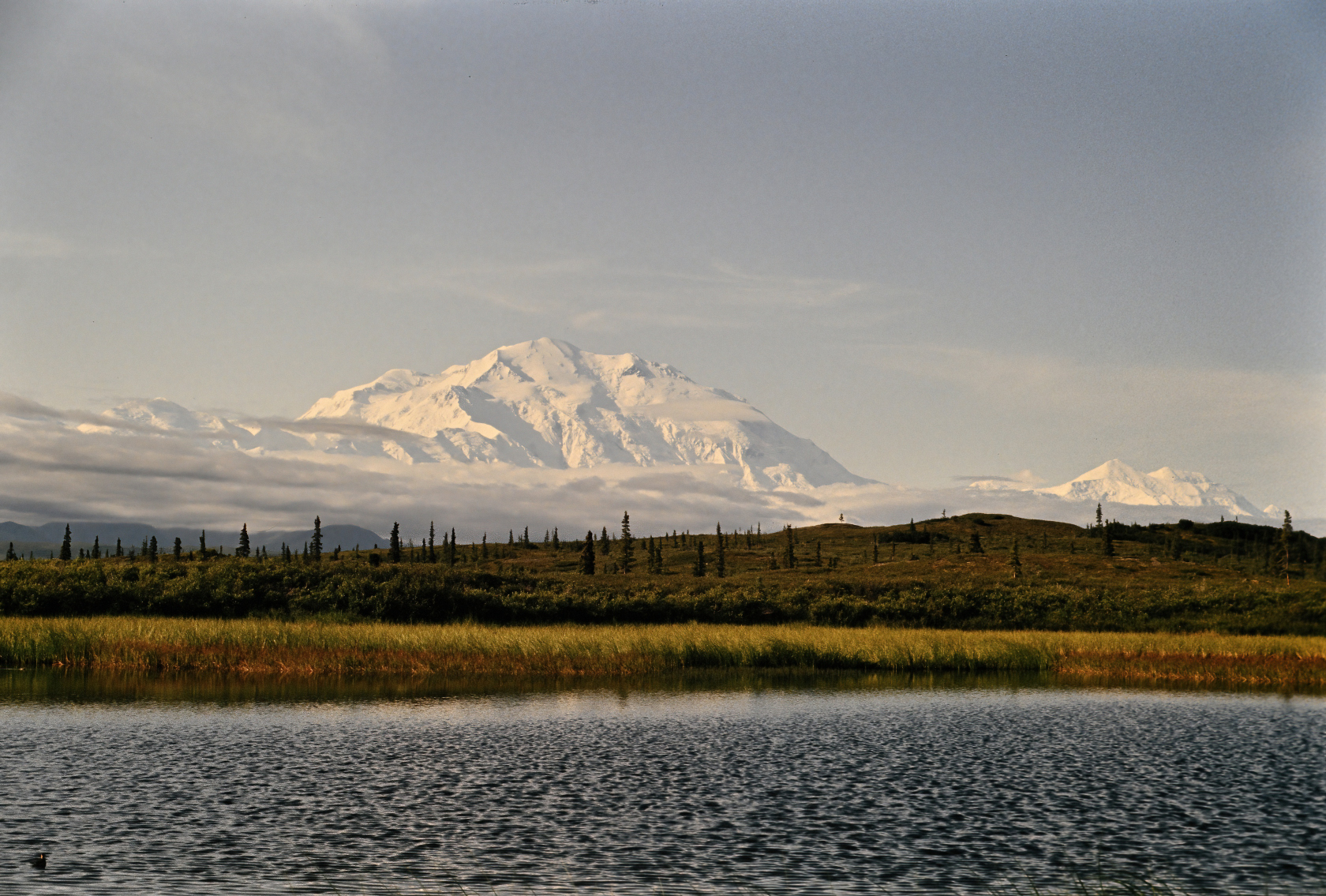 Denali