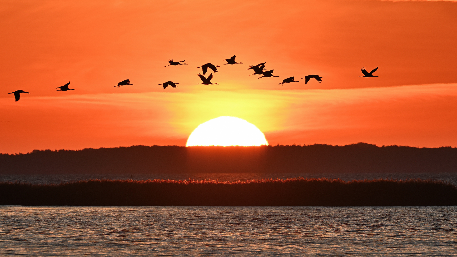 Sonnenaufgang am Bodden