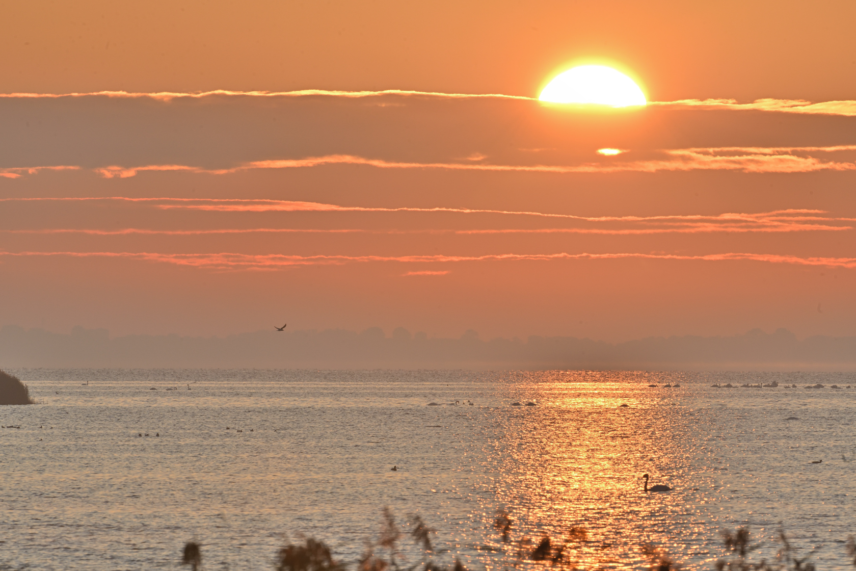 Sonnenaufgang auf Bresewitz
