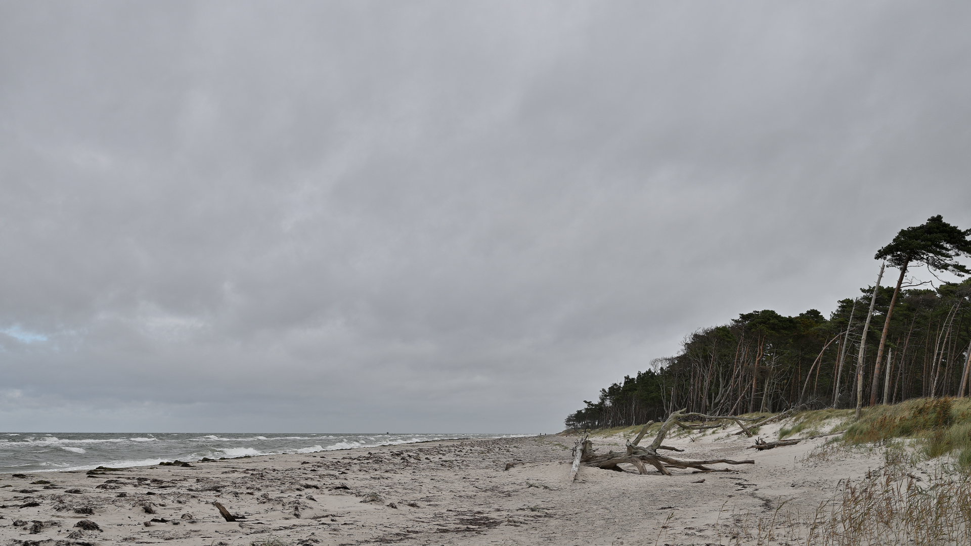 Sturmwinde am Weststrand