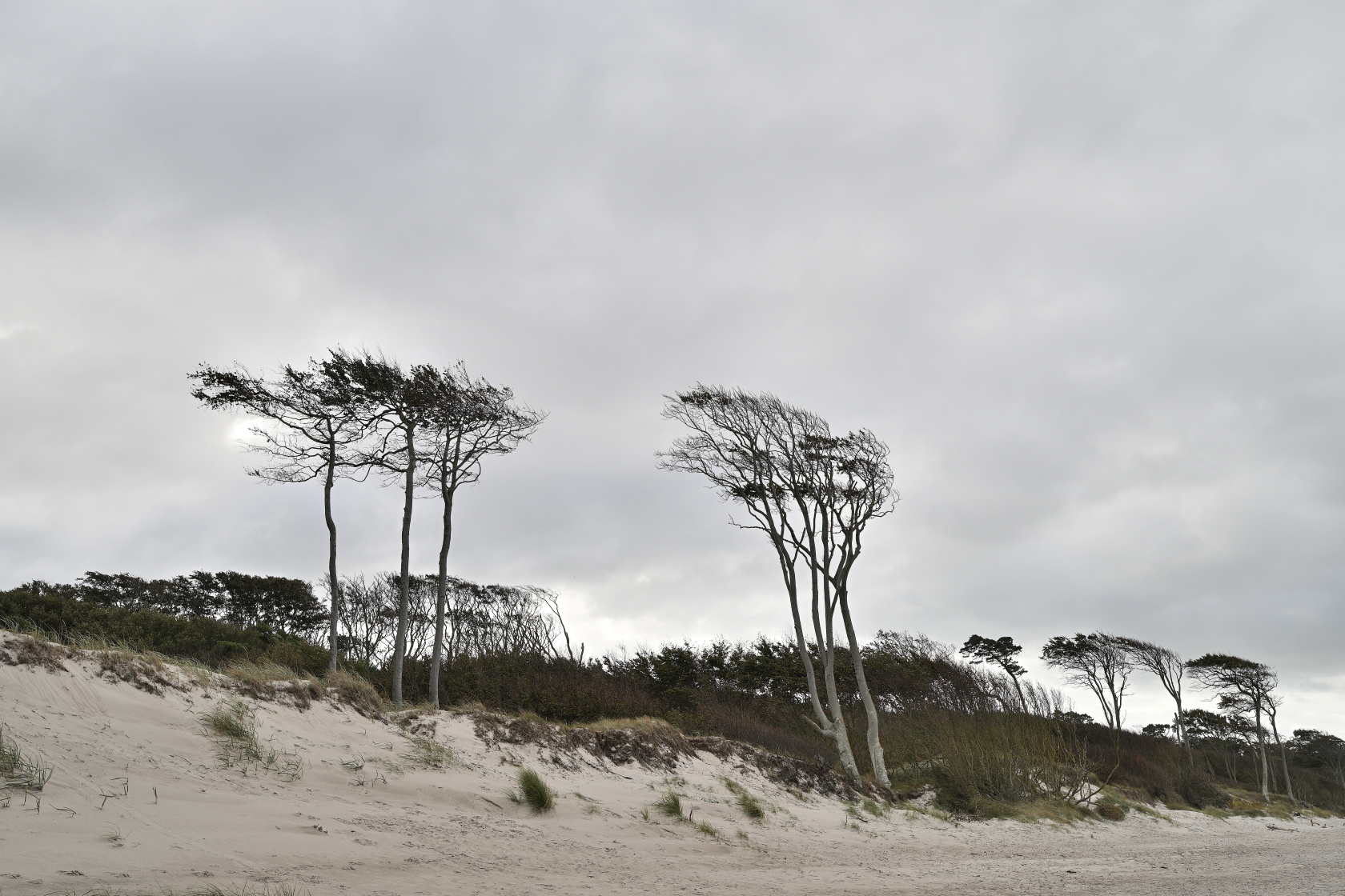 Sturmwinde am Weststrand
