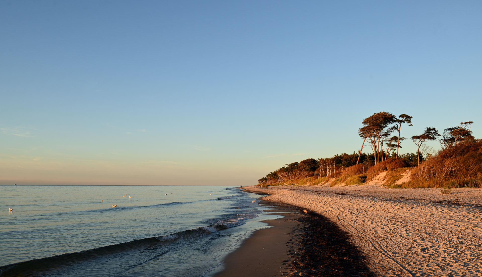 Sonnenuntergang am Weststrand