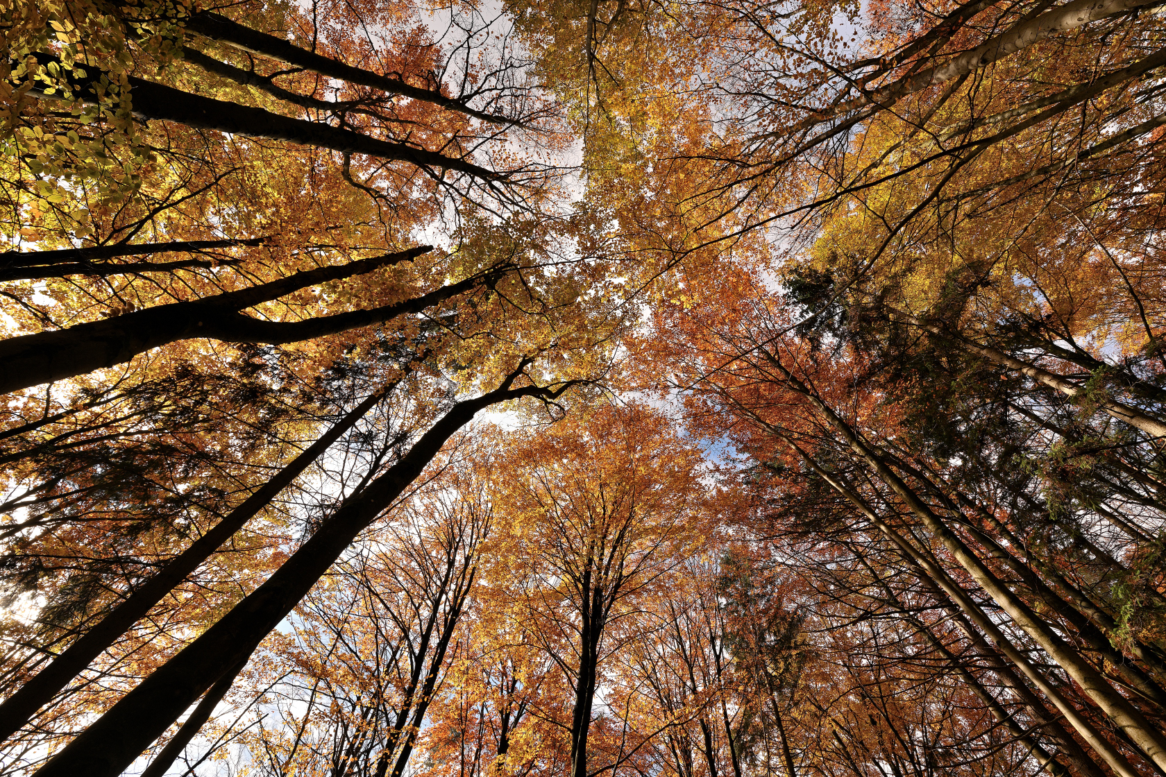 Herbst in der fränkischen Schweiz