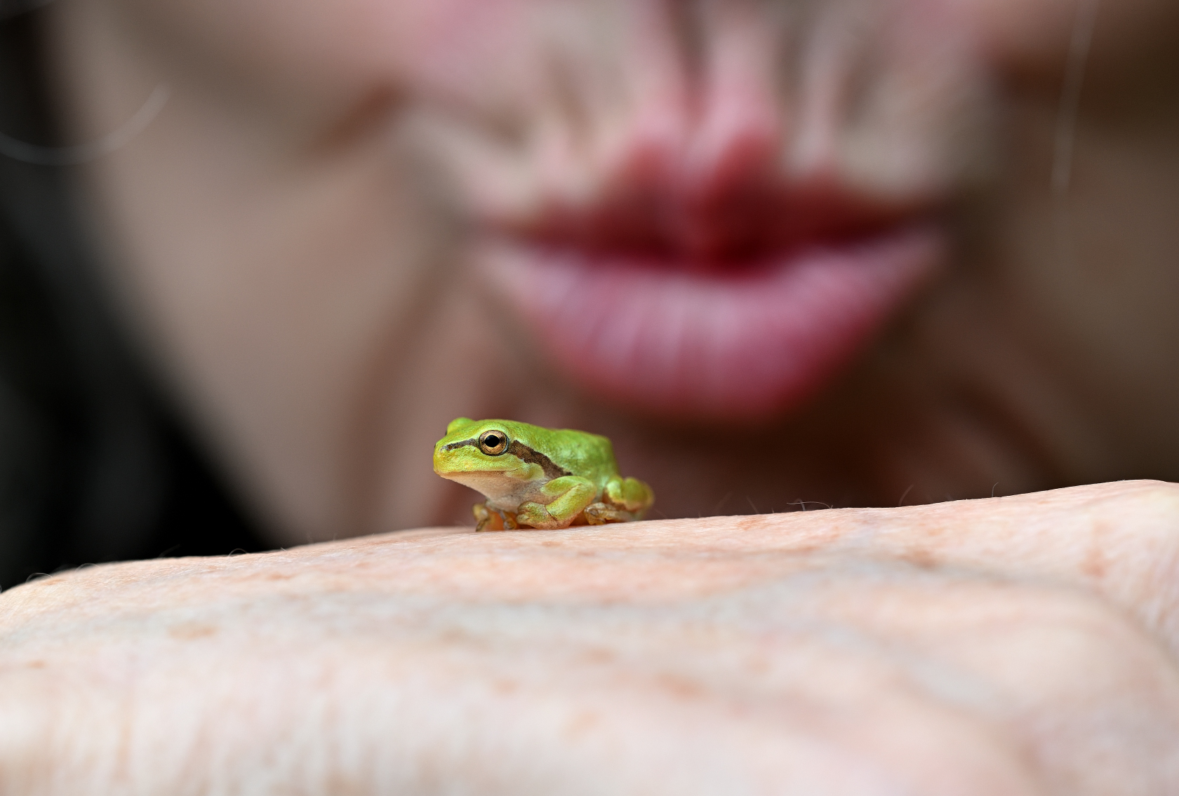 Froschkönig