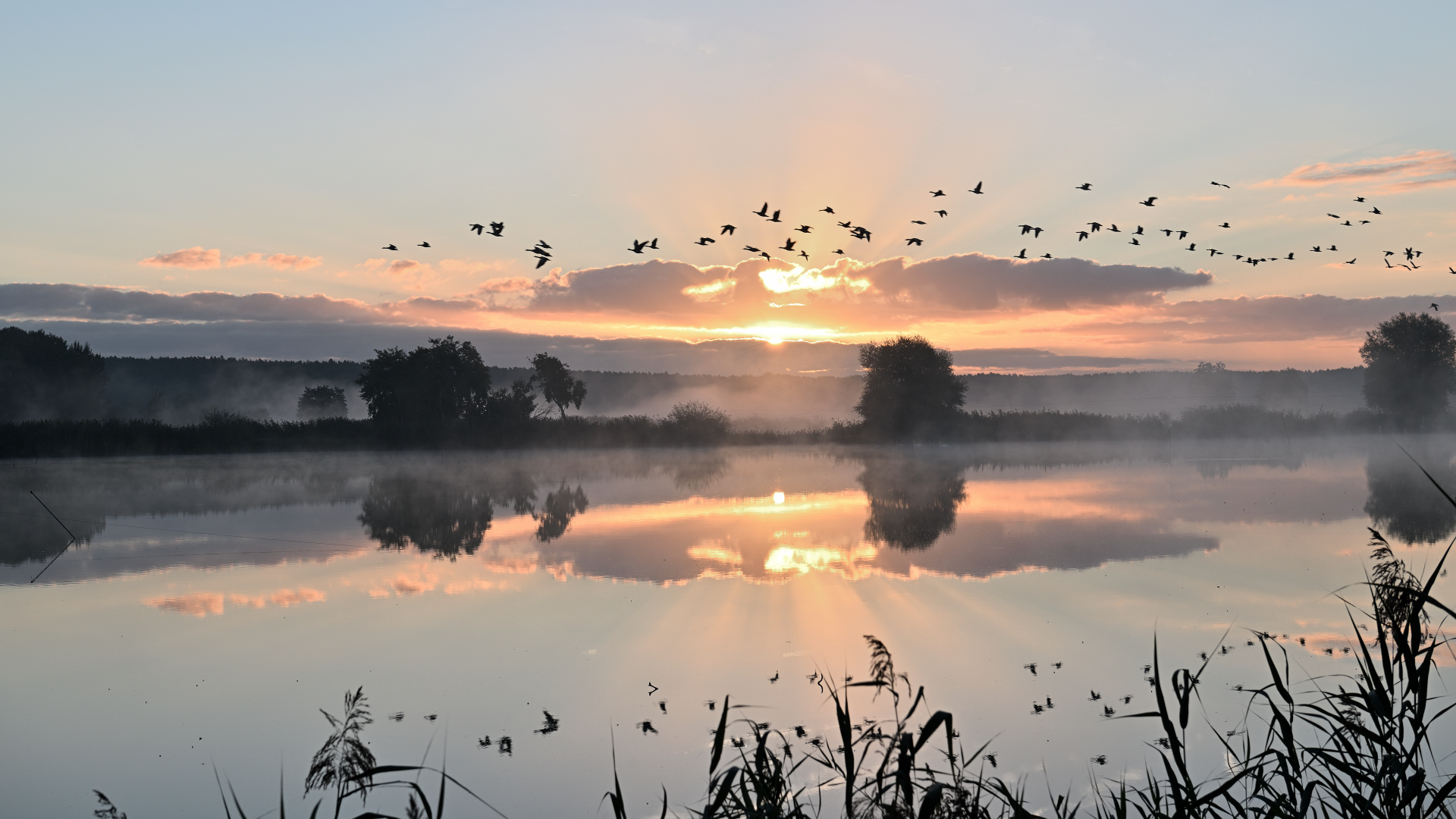 Sonnenaufgang an den Weihern