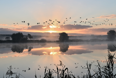 Sonnenaufgang an den Weihern
