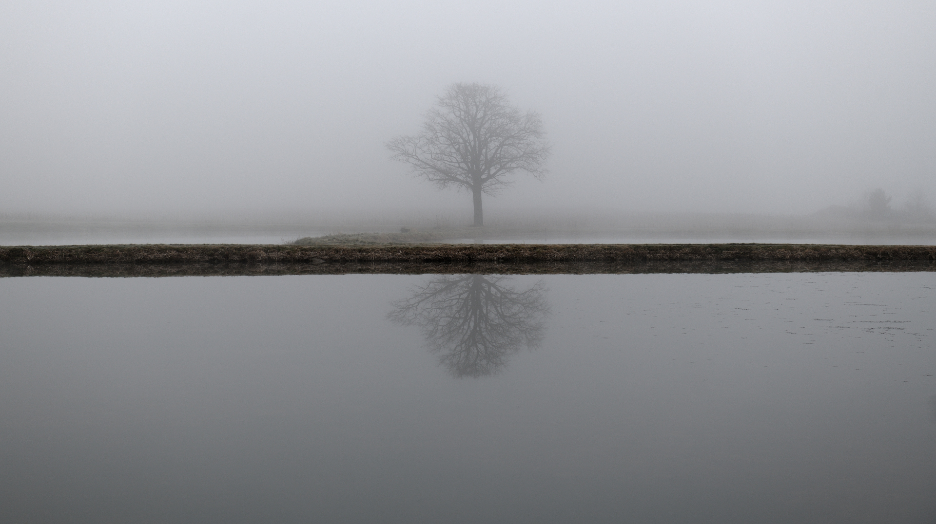 Morgennebel