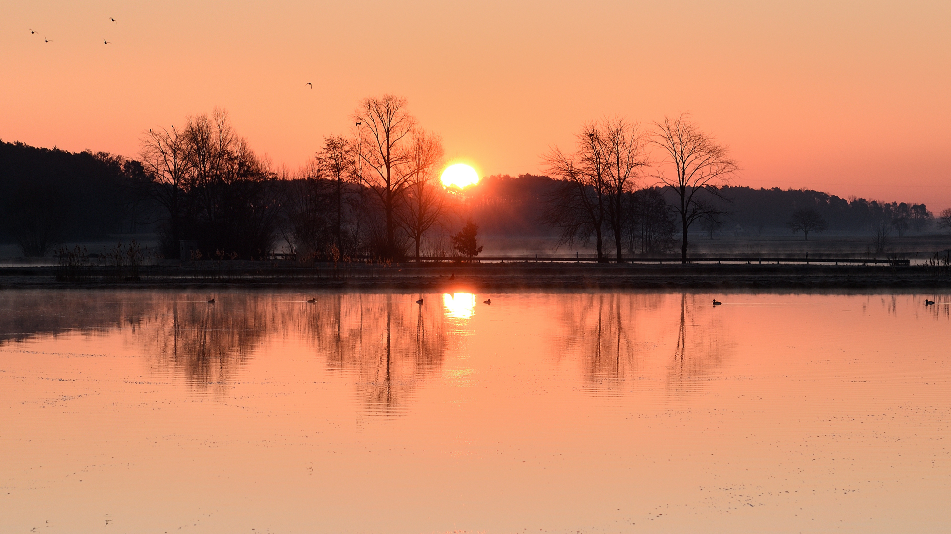 Sonnenaufgang bei Oberlindach