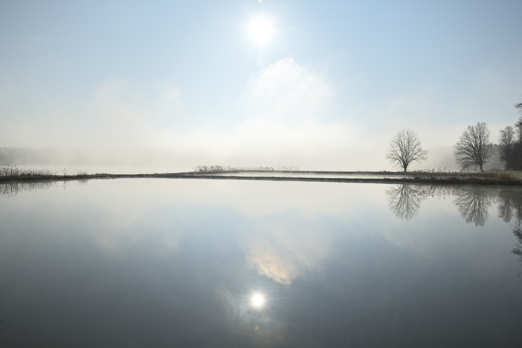 Morgennebel