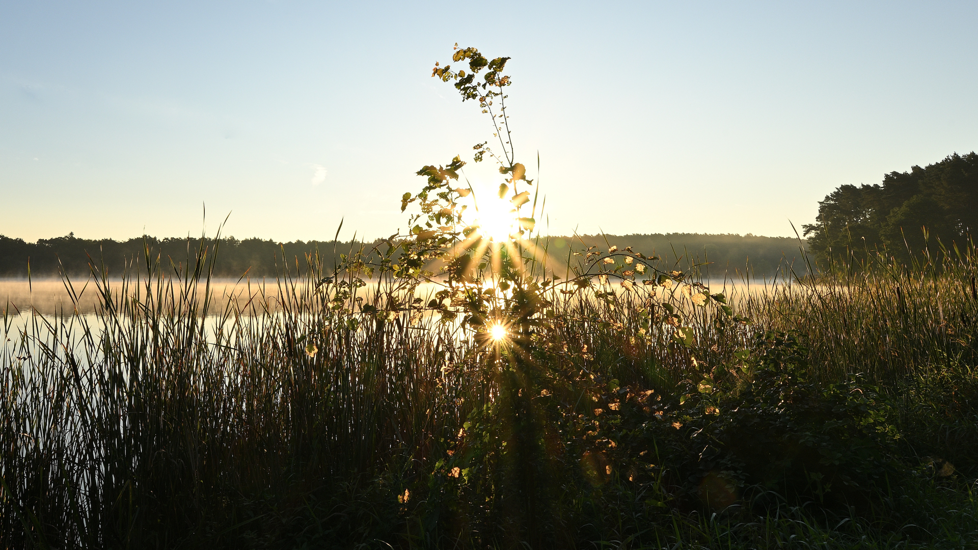 Morgensonne an den Weihern