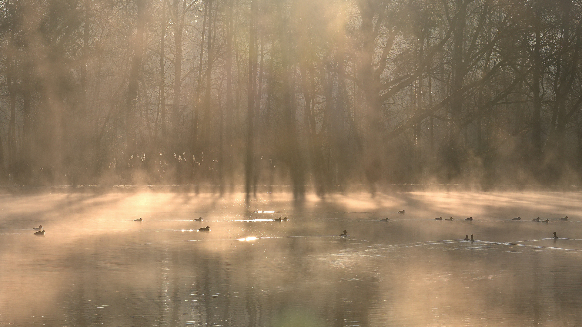 Morgenstimmung