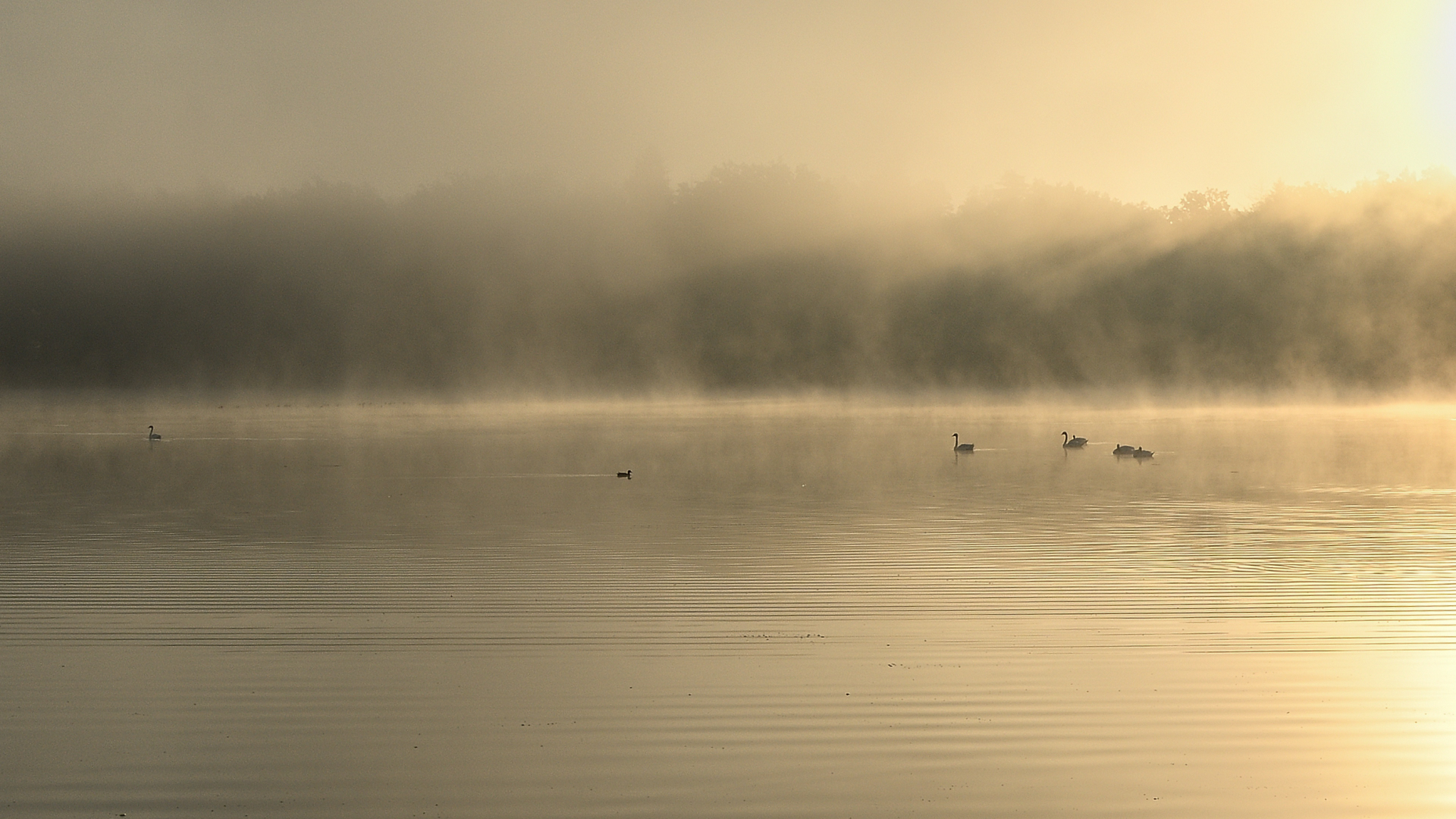 Morgenstimmung