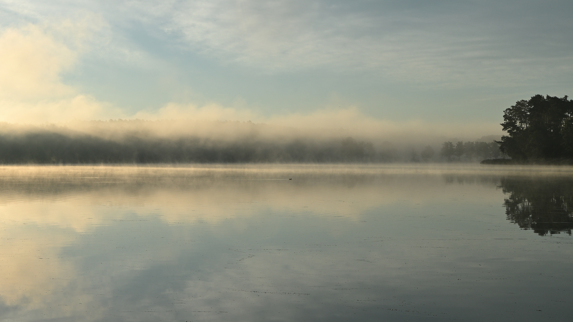 Morgenstimmung