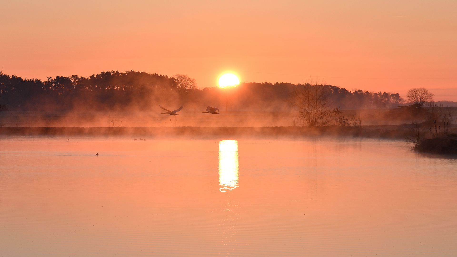 Sonnenaufgang bei Oberlindach