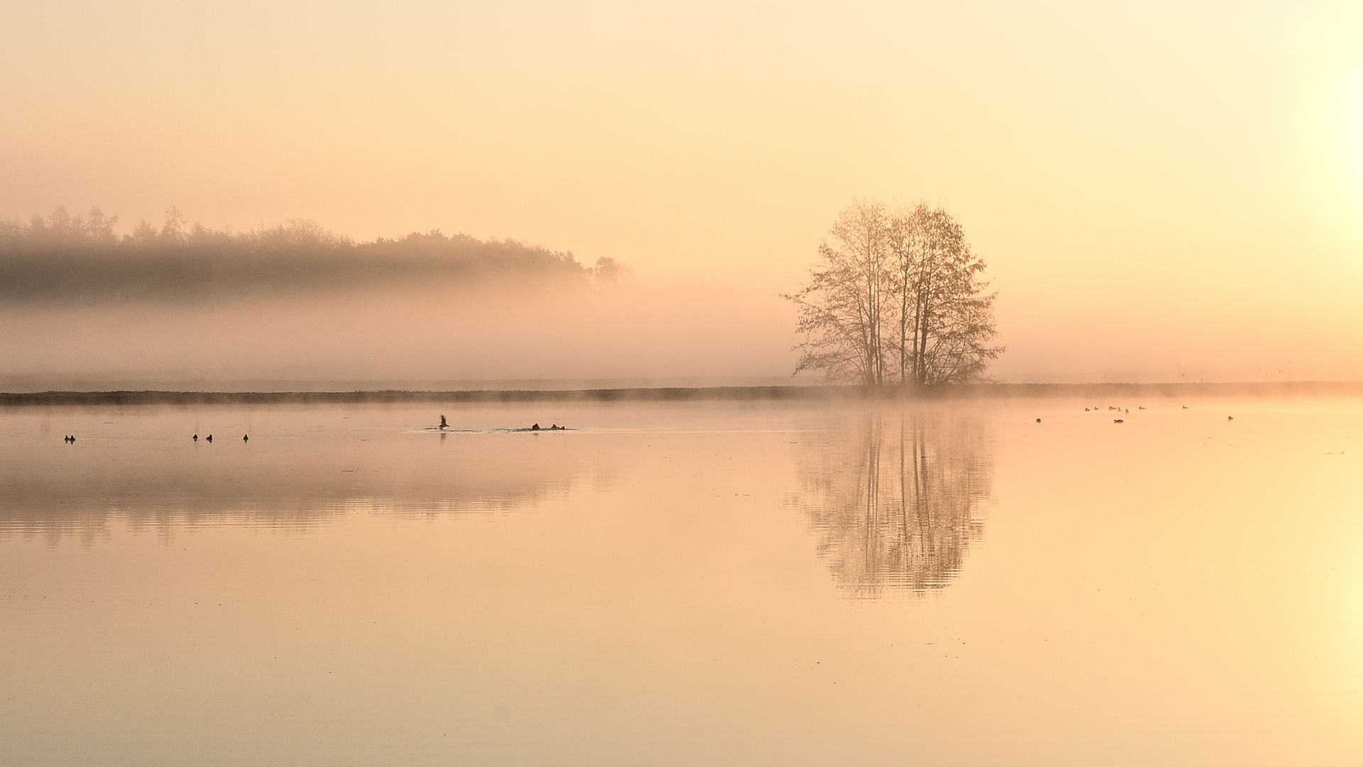 Morgenstimmung