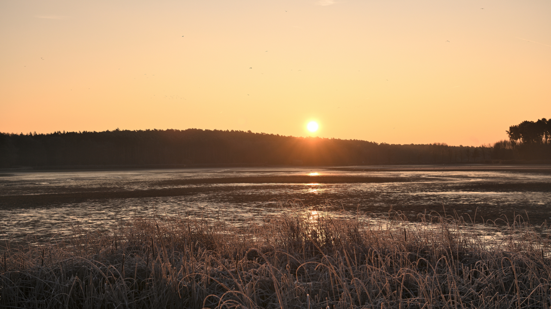 Sonnenaufgang